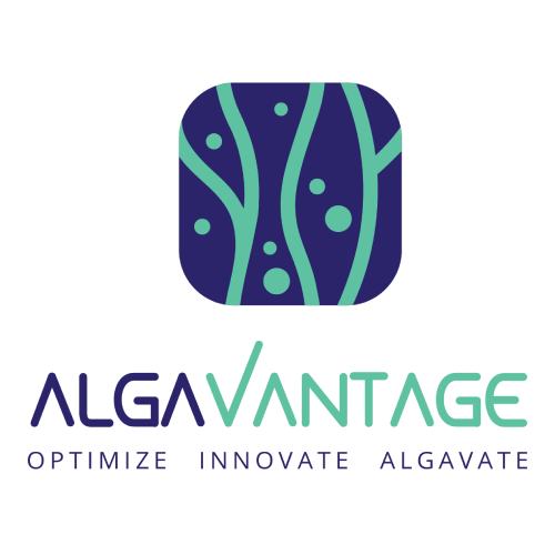 The page is under construction...